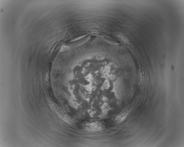 X0000057100365200509231722