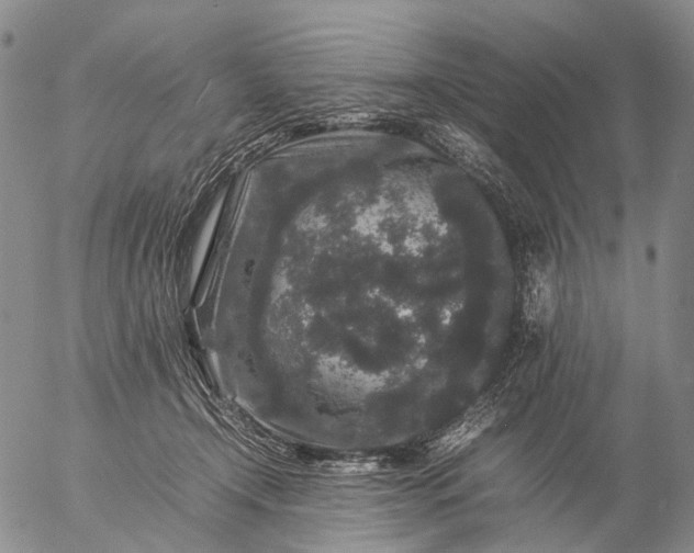 X0000057100366200509231722