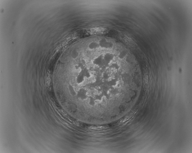 X0000057100367200509231722