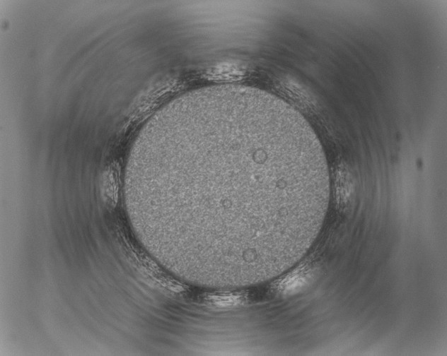 X0000057100370200509231722