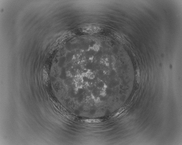 X0000057100371200509231722