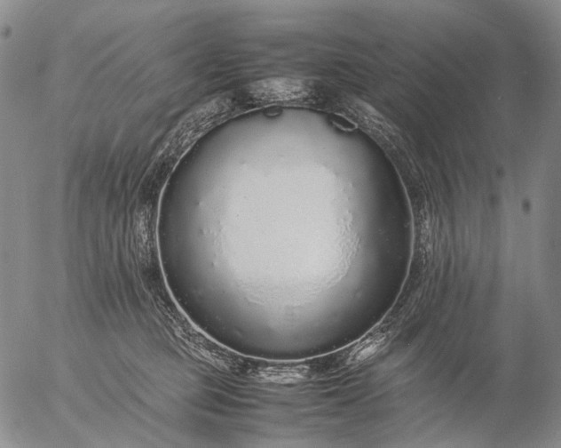 X0000057100373200509231722