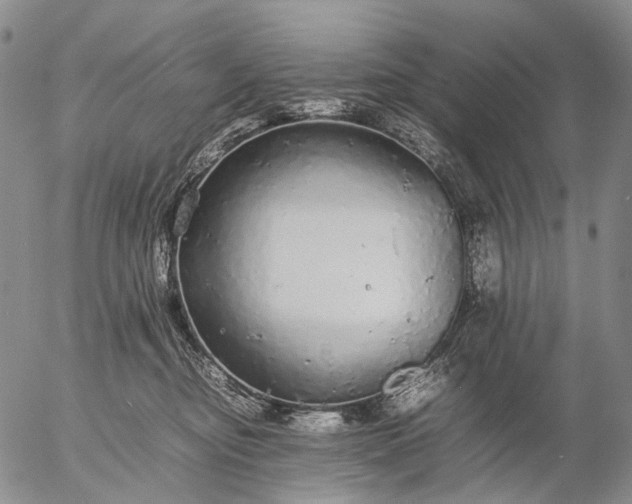 X0000057100374200509231722