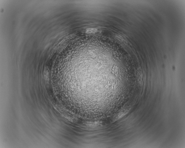 X0000057100375200509231722