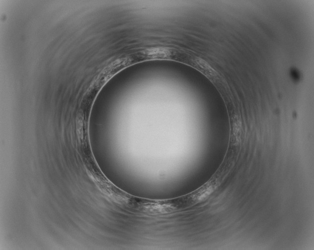 X0000057100379200509231722