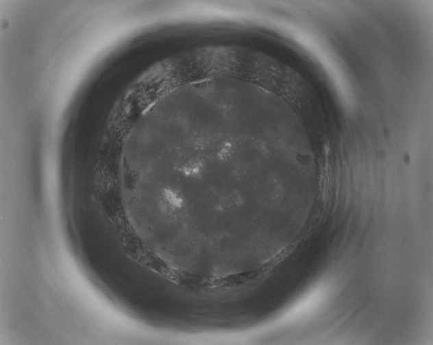 X0000057100383200509231722