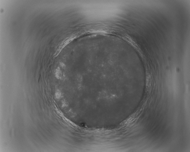 X0000057100385200509231721