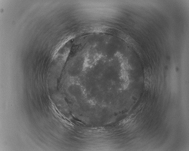 X0000057100386200509231721