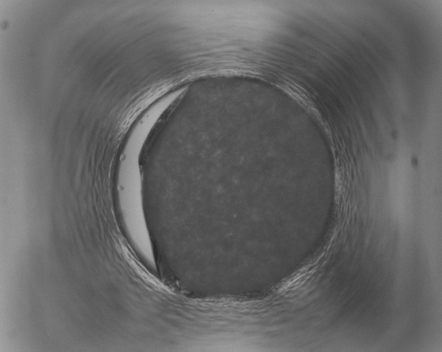 X0000057100389200509231721