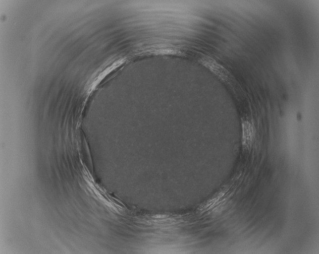 X0000057100390200509231721