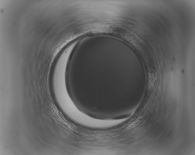 X0000057100391200509231721