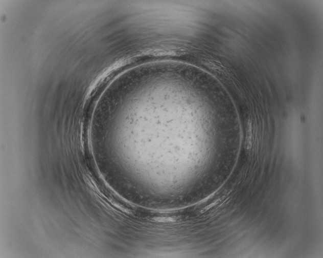 X0000057100392200509231721