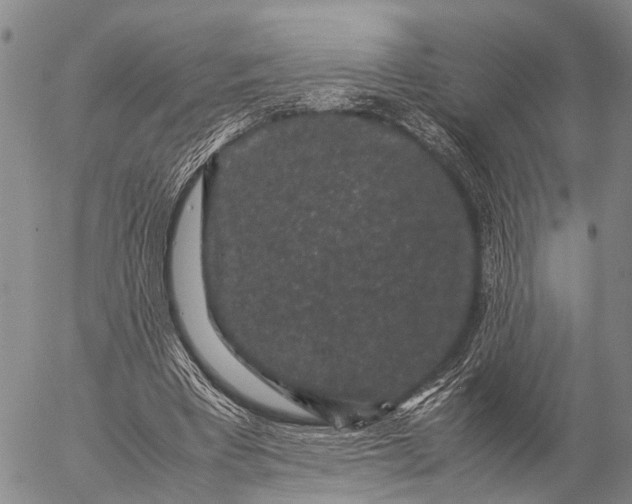 X0000057100393200509231721