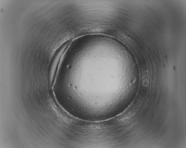 X0000057100394200509231721