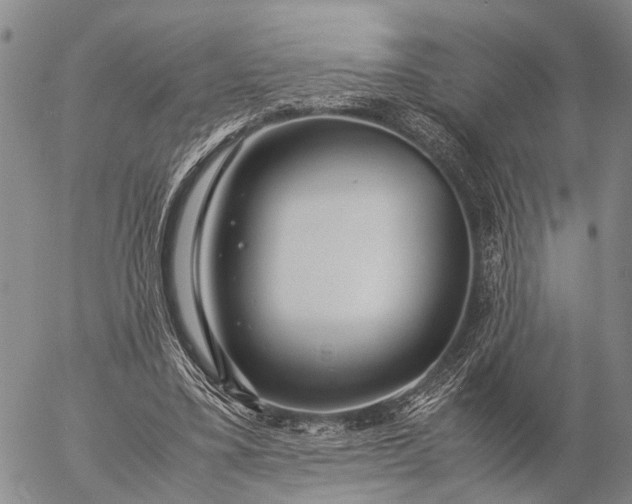 X0000057100395200509231721