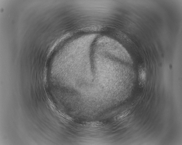 X0000057100396200509231721