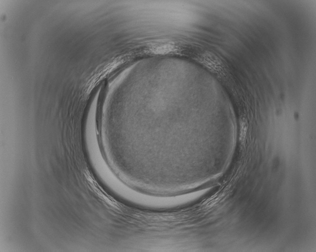 X0000057100397200509231721