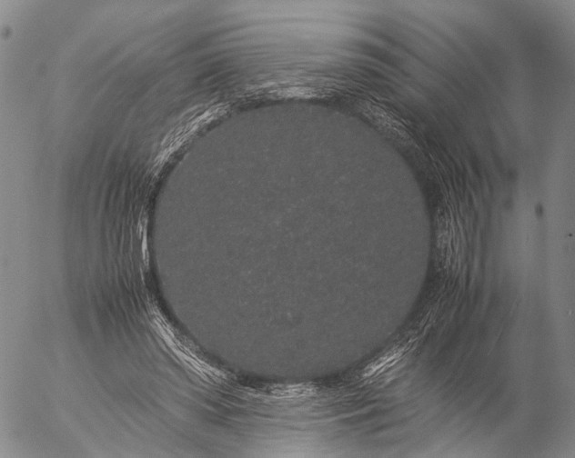 X0000057100398200509231721