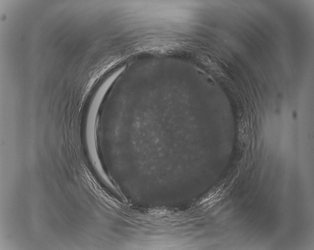 X0000057100399200509231721