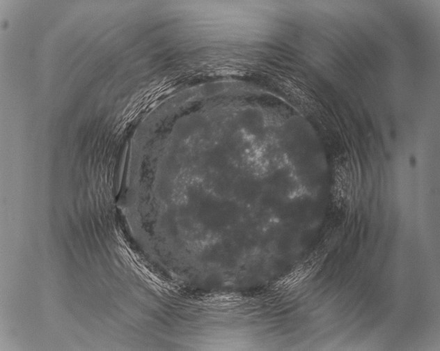 X0000057100402200509231721