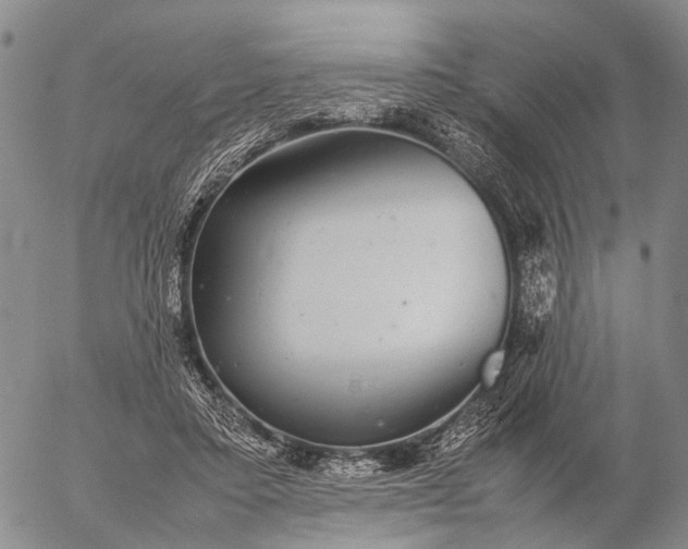 X0000057100403200509231721