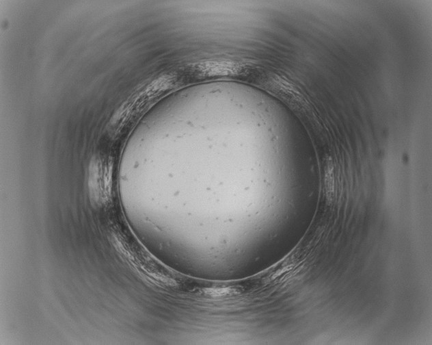 X0000057100406200509231721