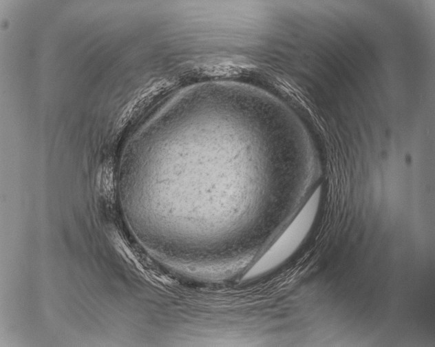 X0000057100407200509231721