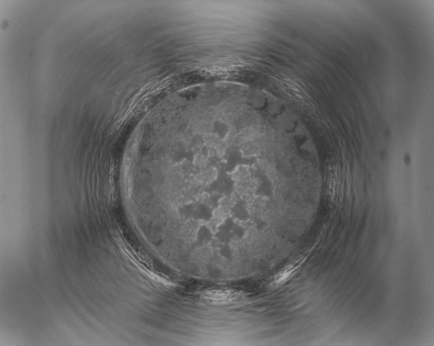 X0000057100408200509231721