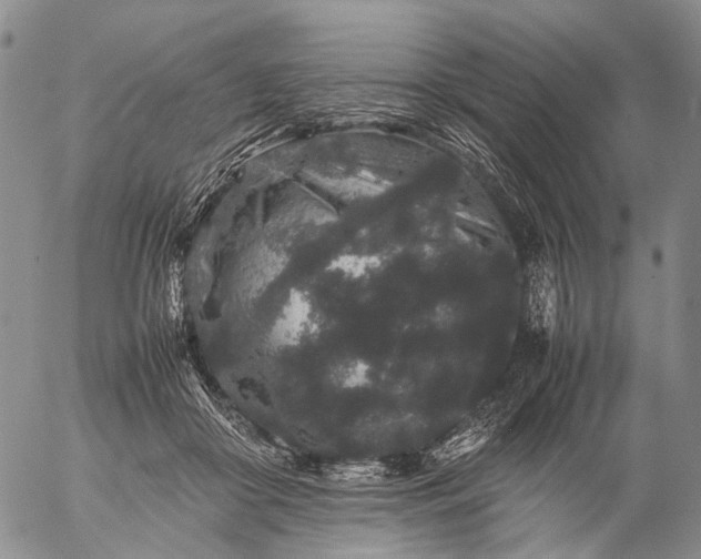 X0000057100410200509231721