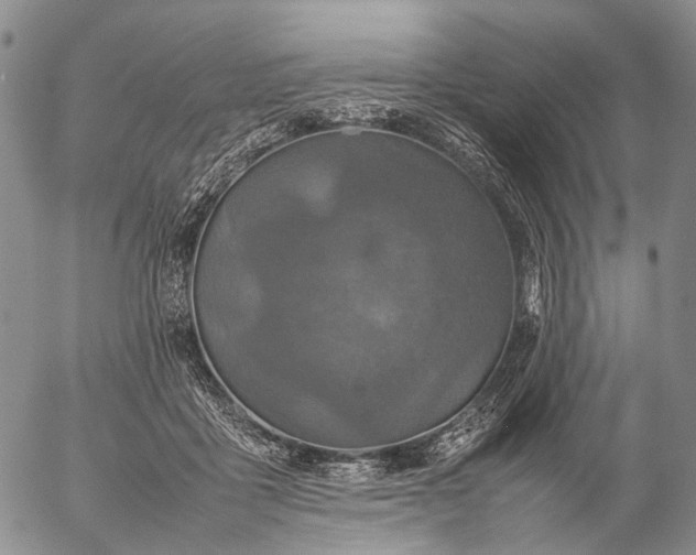 X0000057100411200509231721