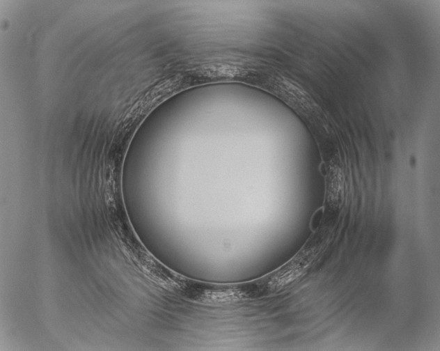 X0000057100414200509231721