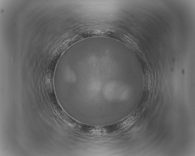 X0000057100415200509231721