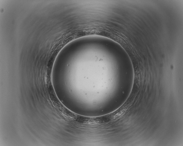 X0000057100416200509231721