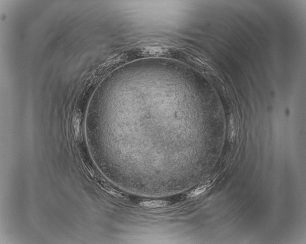 X0000057100417200509231721