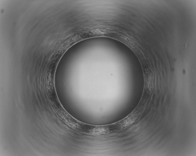 X0000057100418200509231721