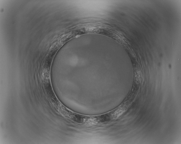 X0000057100419200509231721