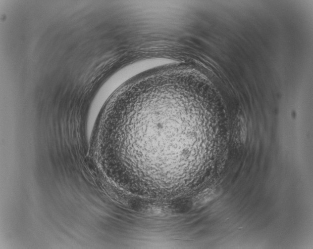 X0000057100420200509231721