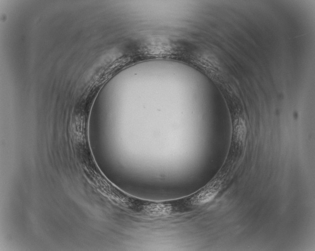 X0000057100421200509231721