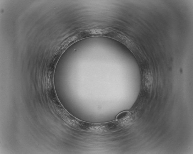 X0000057100422200509231721