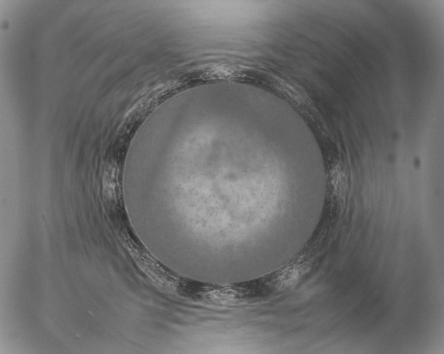 X0000057100423200509231721