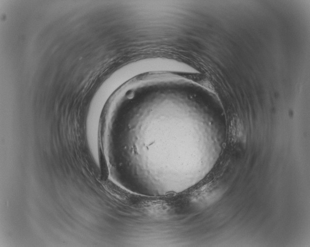 X0000057100424200509231721