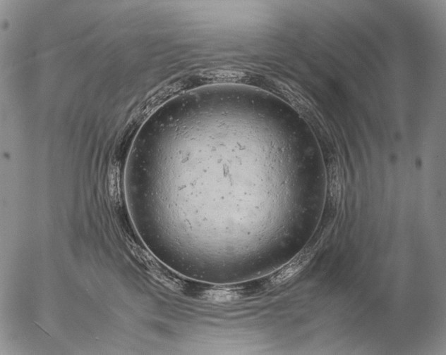 X0000057100425200509231721