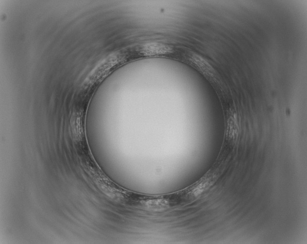 X0000057100426200509231721