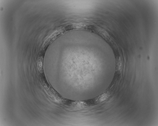 X0000057100427200509231721