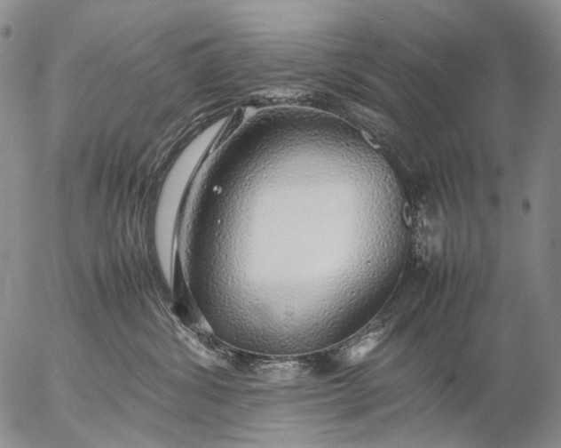 X0000057100428200509231721