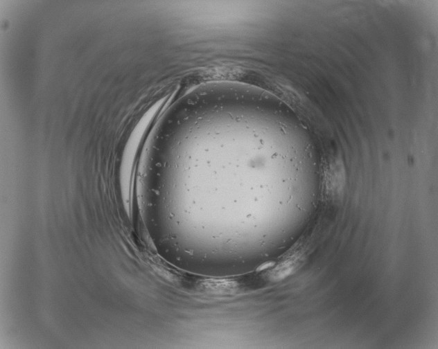 X0000057100429200509231721