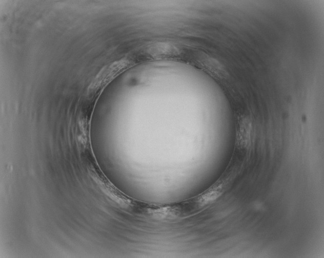 X0000057100430200509231721