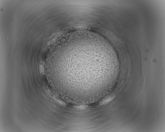 X0000057100432200509231721