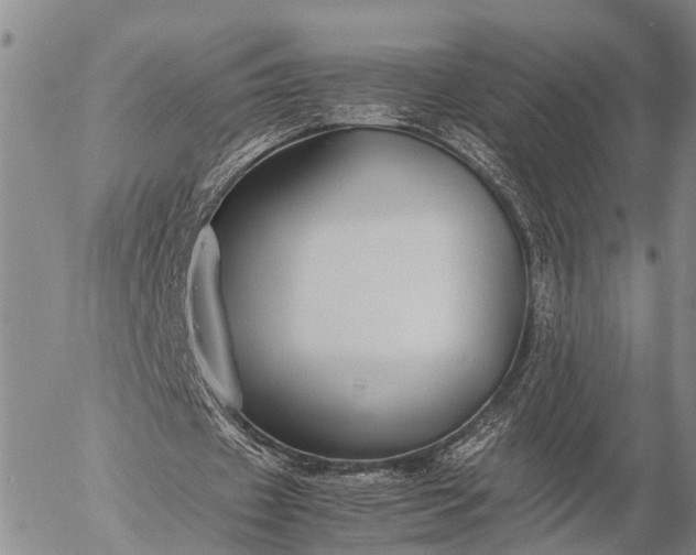 X0000057100433200509231720