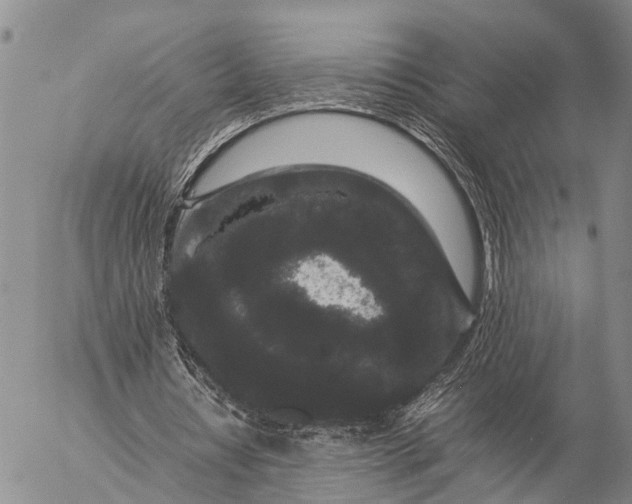 X0000057100434200509231720